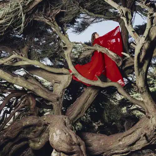 Nested in Tangles cover