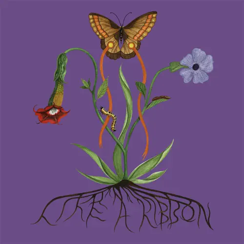 Like a Ribbon cover