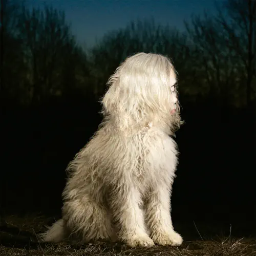 DOGA cover