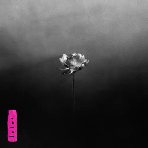Lotus cover