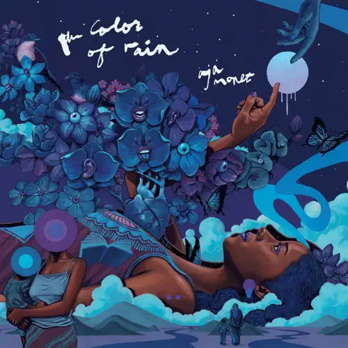 the color of rain cover